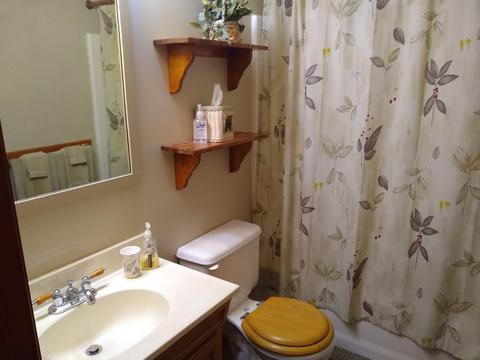 612 Cedar Ln, Buchanan, VA 24066 photo 50