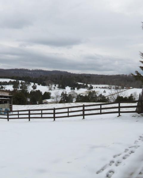 612 Cedar Ln, Buchanan, VA 24066 photo 62