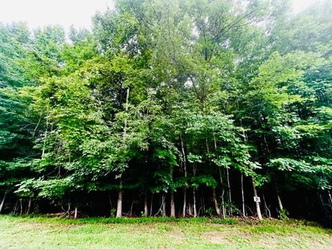 Lot 31 Back Nine Dr, Moneta, VA 24121