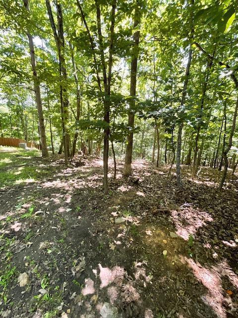 lot23 Indian Trl, Henry, VA 24102