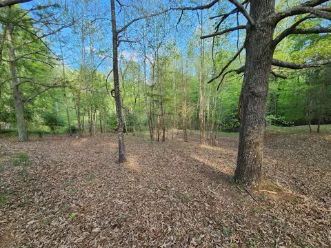 lot14 Bailey Blvd, Hardy, VA 24101