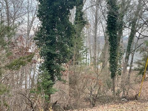 lot S 4950 Overlook Cir, Moneta, VA 24121