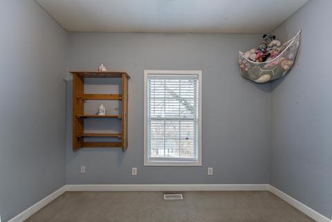 115 Chenault St, Buchanan, VA 24066 photo 21