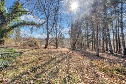 1095 Old Ferrum Rd, Ferrum, VA 24088 photo 9