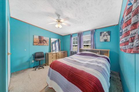3132 Sandy Level Rd, Goodview, VA 24095 photo 23