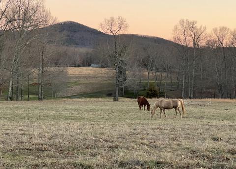 34 Flagstick Ct, Penhook, VA 24137 photo 13