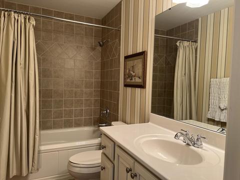 34 Flagstick Ct, Penhook, VA 24137 photo 37