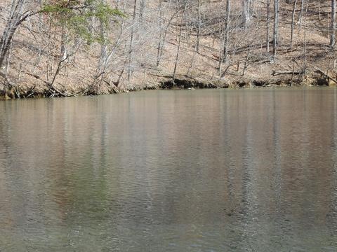Lot 50 Waterside Dr, Goodview, VA 24095
