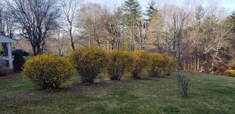 364 Sawmill Rd, Ferrum, VA 24088 photo 65