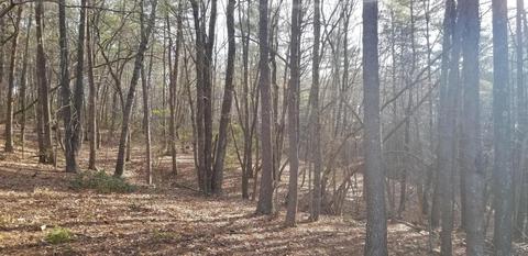 364 Sawmill Rd, Ferrum, VA 24088 photo 61