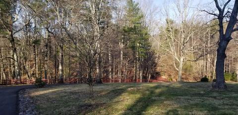364 Sawmill Rd, Ferrum, VA 24088 photo 51