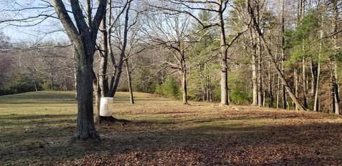 364 Sawmill Rd, Ferrum, VA 24088 photo 54
