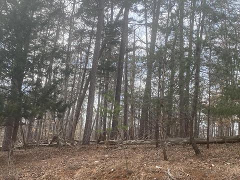 Lot 49 Poplar Dr, Hardy, VA 24101