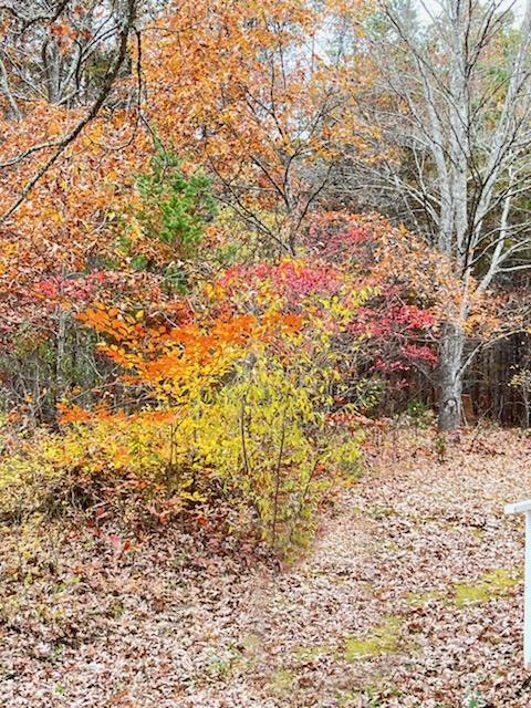 378 High St, Eagle Rock, VA 24085 photo 31