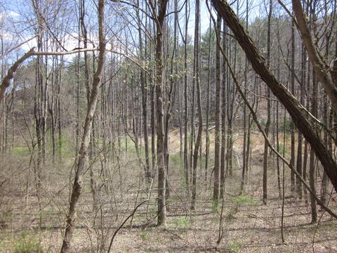 lot4 Bethlehem Rd, Boones Mill, VA 24065