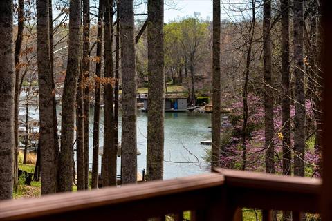 36 Windtree Dr, Moneta, VA 24121 photo 34