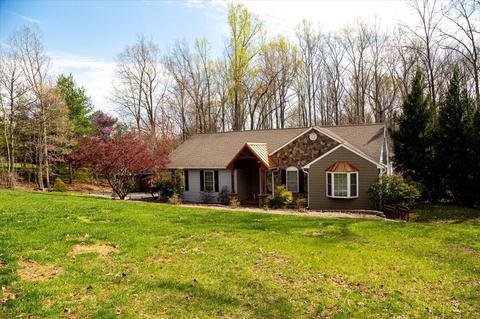 36 Windtree Dr, Moneta, VA 24121 photo 54