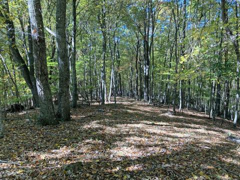 291 Lovell Rd NE, Pilot, VA 24138 photo 15