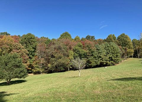 291 Lovell Rd NE, Pilot, VA 24138 photo 8