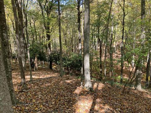 291 Lovell Rd NE, Pilot, VA 24138 photo 13