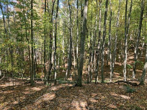 291 Lovell Rd NE, Pilot, VA 24138 photo 18