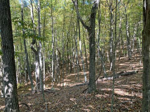 291 Lovell Rd NE, Pilot, VA 24138 photo 17