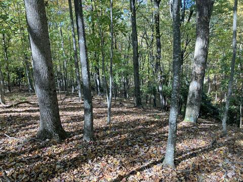 291 Lovell Rd NE, Pilot, VA 24138 photo 16