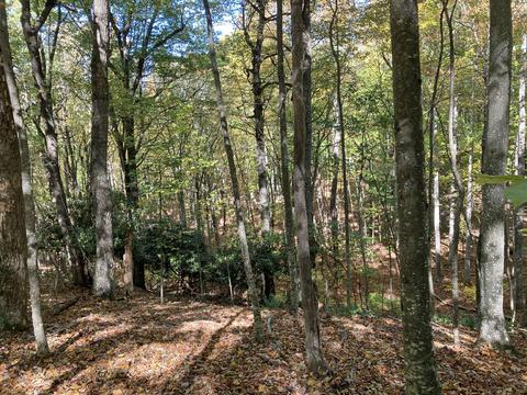 291 Lovell Rd NE, Pilot, VA 24138 photo 14