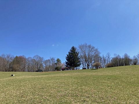 291 Lovell Rd NE, Pilot, VA 24138 photo 10