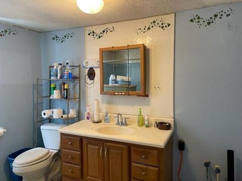 330 Old Mill Rd, Ridgeway, VA 24148 photo 7