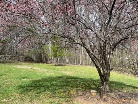 330 Old Mill Rd, Ridgeway, VA 24148 photo 14