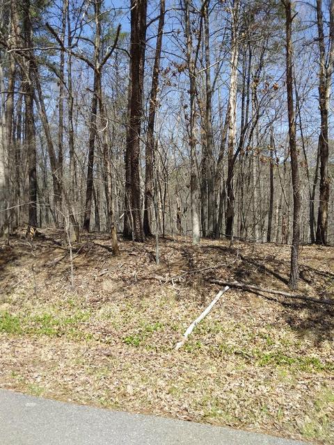 lot66 Pine Ridge Dr, Hardy, VA 24101