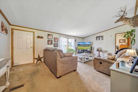 170 Dagger Spring Rd, Eagle Rock, VA 24085 photo 3