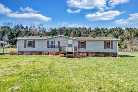 170 Dagger Spring Rd, Eagle Rock, VA 24085 photo 2