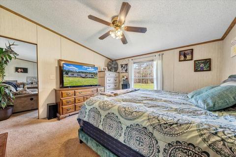 170 Dagger Spring Rd, Eagle Rock, VA 24085 photo 21