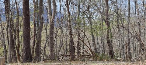 Lot 4 Teakwood Dr, Pittsville, VA 24139
