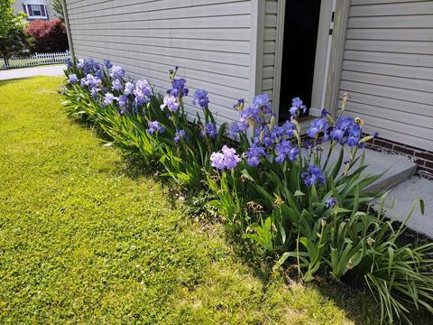 2005 Travis Ln, Pulaski, VA 24301 photo 8
