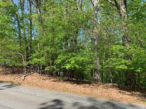lot25 Long Island Dr, Moneta, VA 24121