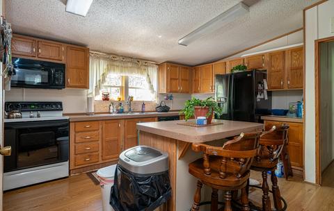 64 Hemlock Ln, Buchanan, VA 24066 photo 4