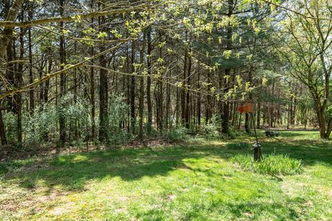 64 Hemlock Ln, Buchanan, VA 24066 photo 20