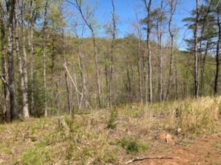 Tract C Winding Way Cir, Boones Mill, VA 24065