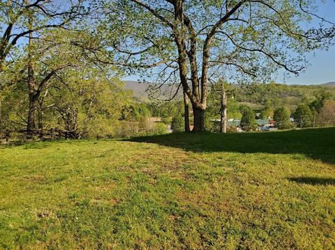 17749 Main St, Buchanan, VA 24066 photo 39
