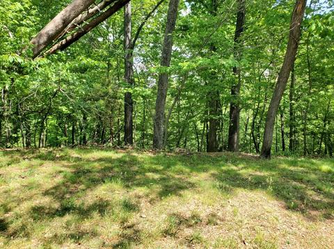 0 Lakemont Dr, Roanoke, VA 24018