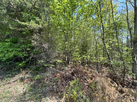 Lot 1 Buccaneer Rd, Moneta, VA 24121