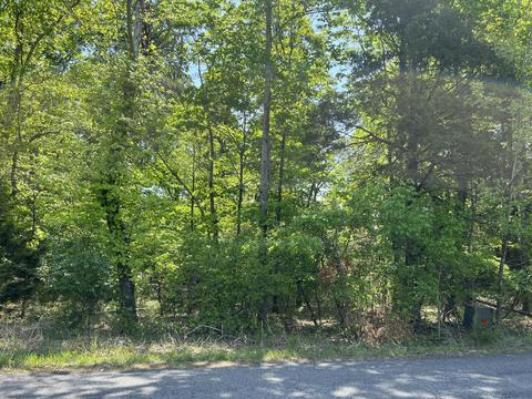 Lot 2 Buccaneer Rd, Moneta, VA 24121