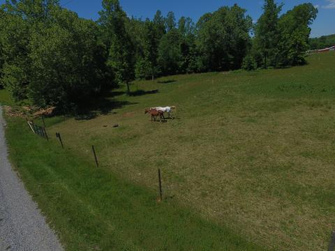 5565 Haw Patch Rd, Ferrum, VA 24088 photo 20