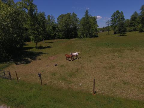5565 Haw Patch Rd, Ferrum, VA 24088 photo 21