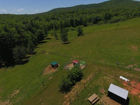 5565 Haw Patch Rd, Ferrum, VA 24088 photo 10