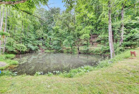 5519 Highfields Rd, Roanoke, VA 24018 photo 43