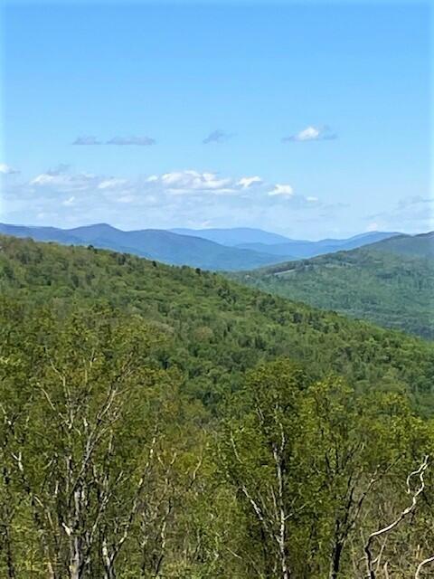 7900 Castile Rd, Covington, VA 24426 photo 1
